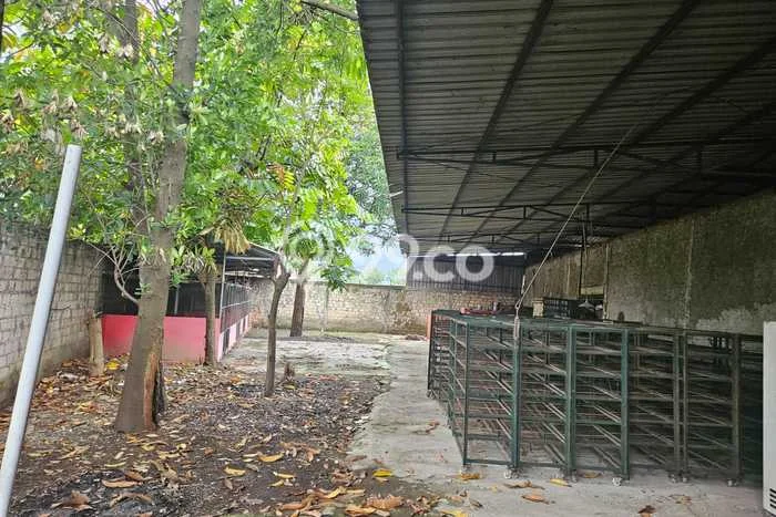Gudang bagus disewakan di Tegal Selatan Tegal dengan LB 2800m2 harga sewa terbaik Gudang bagus disewakan di Tegal Selatan Tegal dengan LB 2800m2 harga sewa terbaik