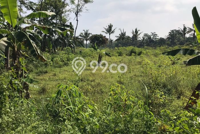Kavling Tanah Dijual di Tengaran, Semarang, Luas 18000m2 Area Strategis Kavling Tanah Dijual di Tengaran, Semarang, Luas 18000m2 Area Strategis