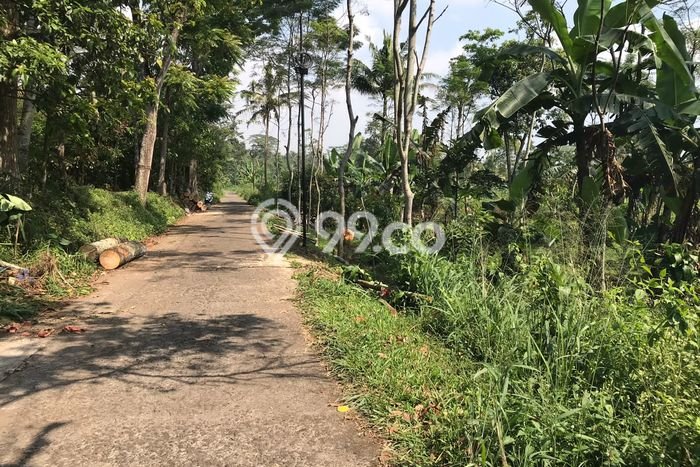 Kavling Tanah Dijual di Tengaran, Semarang, Luas 18000m2 Area Strategis Kavling Tanah Dijual di Tengaran, Semarang, Luas 18000m2 Area Strategis
