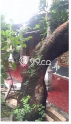 Jual Rumah Strategis Bagus Punya 1 KT di Cengkareng Jakarta Barat SHM Jual Rumah Strategis Bagus Punya 1 KT di Cengkareng Jakarta Barat SHM