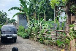 Jarang Ada! Tanah Kavling Disewakan di Denpasar 400m2 Jarang Ada! Tanah Kavling Disewakan di Denpasar 400m2
