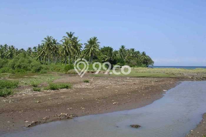 Tanah untuk Dijual di Melaya Jembrana Luas 12500m2 Tanah untuk Dijual di Melaya Jembrana Luas 12500m2