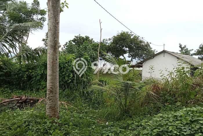 Tanah untuk Dijual di Melaya Jembrana Luas 12500m2 Tanah untuk Dijual di Melaya Jembrana Luas 12500m2