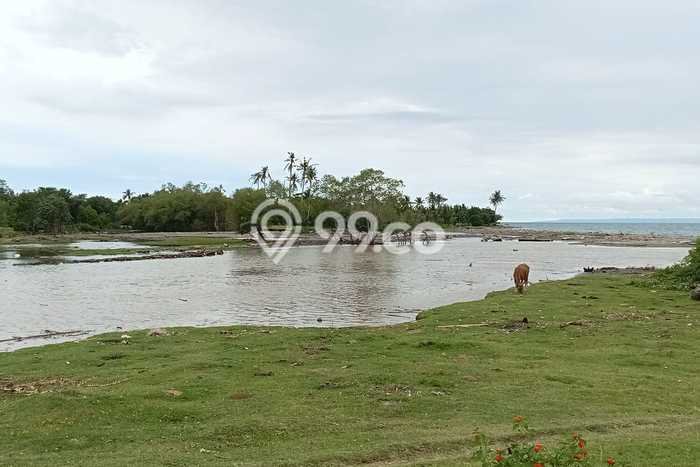 Tanah untuk Dijual di Melaya Jembrana Luas 12500m2 Tanah untuk Dijual di Melaya Jembrana Luas 12500m2