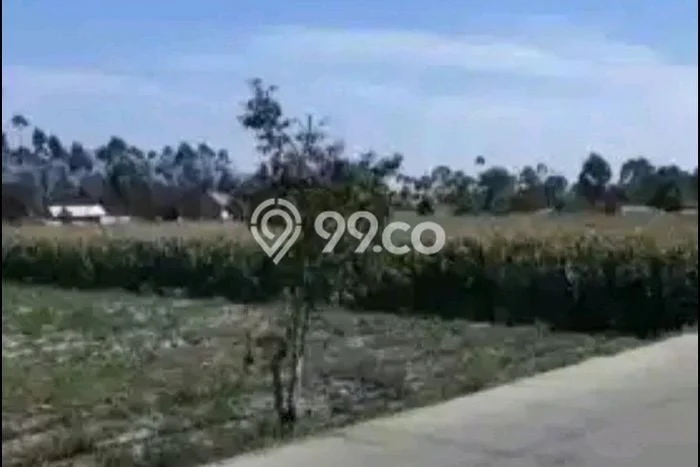 Kavling Tanah di Pangalengan Dijual Luas 35000m2 Legalitas SHM Kavling Tanah di Pangalengan Dijual Luas 35000m2 Legalitas SHM