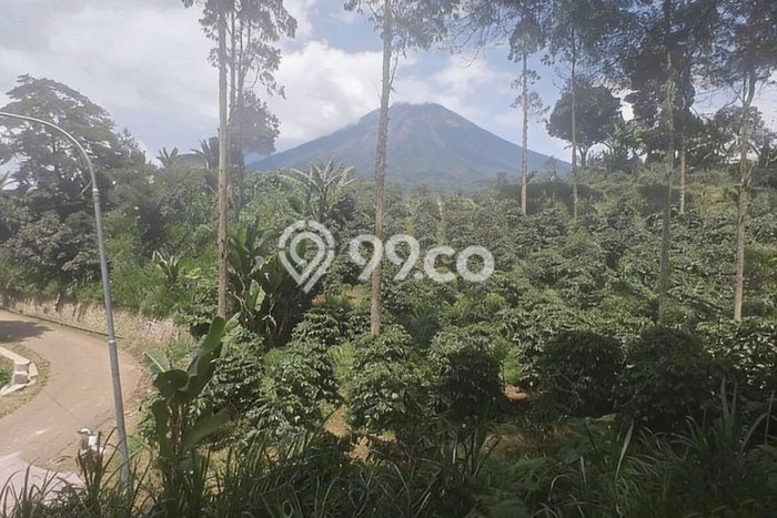 Tanah untuk Dijual di Pangalengan Bandung Luas 3982m2 Tanah untuk Dijual di Pangalengan Bandung Luas 3982m2