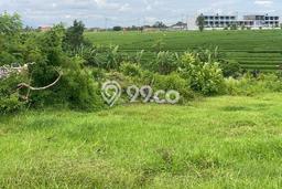 Tanah Kavling Dijual di Badung dengan Spesifikasi 647m2 Tanah Kavling Dijual di Badung dengan Spesifikasi 647m2