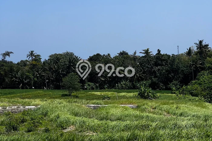Disewakan Tanah di Cemagi, Luas 550m², Area Potensial Disewakan Tanah di Cemagi, Luas 550m², Area Potensial