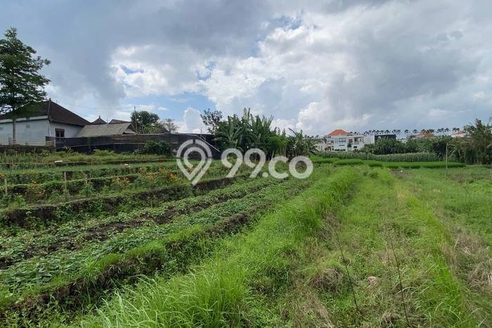 Tanah Kosong Dijual di Badung dengan Area 500m2 Tanah Kosong Dijual di Badung dengan Area 500m2