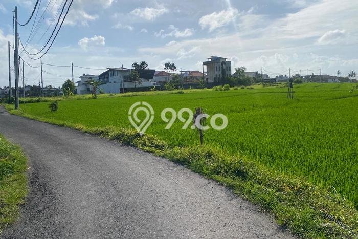 Tanah Dijual di Badung Seluas 1800m2 Strategis Tanah Dijual di Badung Seluas 1800m2 Strategis