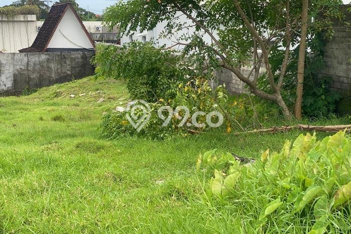Tanah Kavling Dijual di Badung dengan Spesifikasi 647m2 Tanah Kavling Dijual di Badung dengan Spesifikasi 647m2