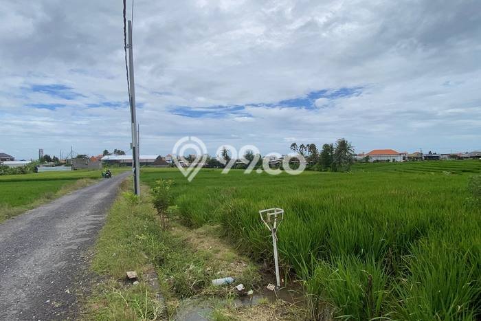 Kavling Tanah untuk Dijual di Pererenan, Badung, Luas 3600m2 Kavling Tanah untuk Dijual di Pererenan, Badung, Luas 3600m2