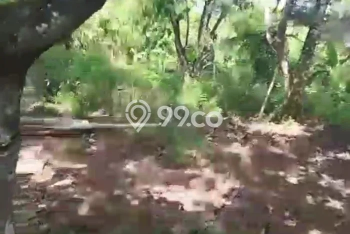 Lahan Strategis di Curug Dijual dengan Luas 3685m2 Lahan Strategis di Curug Dijual dengan Luas 3685m2