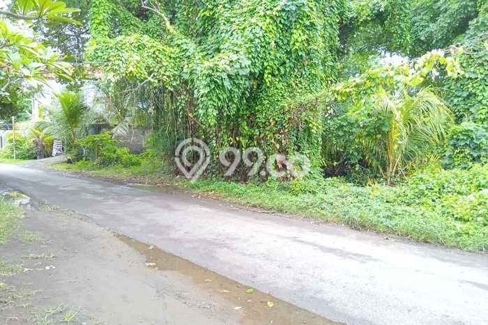 Tanah Kavling untuk Dijual di Buleleng Buleleng 706m2 Tanah Kavling untuk Dijual di Buleleng Buleleng 706m2