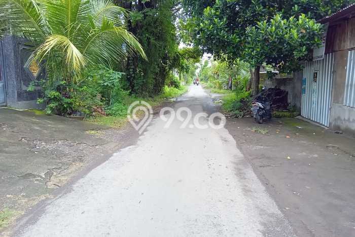 Tanah Kavling untuk Dijual di Buleleng Buleleng 706m2 Tanah Kavling untuk Dijual di Buleleng Buleleng 706m2
