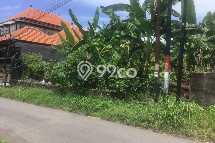 Tanah Kavling untuk Dijual di Buleleng Buleleng 270m2 Tanah Kavling untuk Dijual di Buleleng Buleleng 270m2