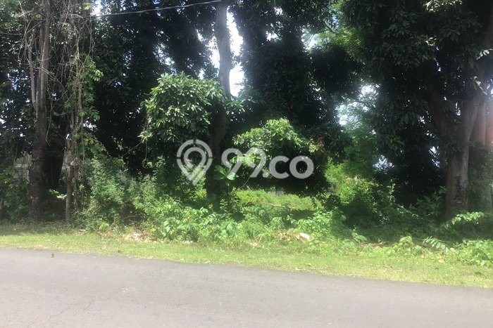 Tanah Dijual Lokasi Buleleng, Buleleng Luas 800m2 Legalitas Aman Tanah Dijual Lokasi Buleleng, Buleleng Luas 800m2 Legalitas Aman