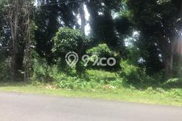 Tanah Dijual Lokasi Buleleng, Buleleng Luas 800m2 Legalitas Aman Tanah Dijual Lokasi Buleleng, Buleleng Luas 800m2 Legalitas Aman