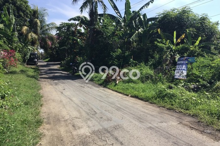 Tanah Kavling untuk Dijual di Buleleng Buleleng 440m2 Tanah Kavling untuk Dijual di Buleleng Buleleng 440m2