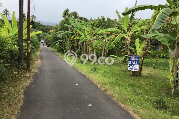 Lahan untuk Dijual Lokasi Buleleng, Buleleng Luas 1500m2 SHM Lahan untuk Dijual Lokasi Buleleng, Buleleng Luas 1500m2 SHM