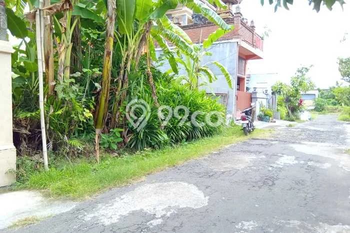 Kavling Tanah Dijual di Buleleng Buleleng Spesifikasi 200m2 Kavling Tanah Dijual di Buleleng Buleleng Spesifikasi 200m2