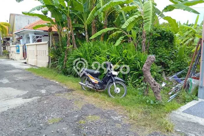 Kavling Tanah Dijual di Buleleng Buleleng Spesifikasi 200m2 Kavling Tanah Dijual di Buleleng Buleleng Spesifikasi 200m2