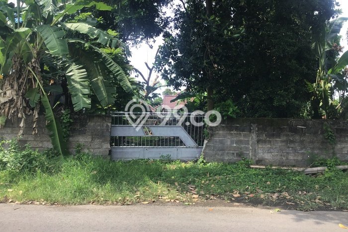 Tanah di Buleleng, Buleleng Luas 200m2 Dijual Segera Tanah di Buleleng, Buleleng Luas 200m2 Dijual Segera