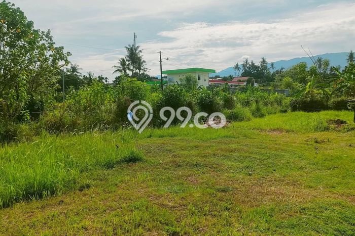 Tanah Dijual di Buleleng Seluas 1296m2 Strategis Tanah Dijual di Buleleng Seluas 1296m2 Strategis