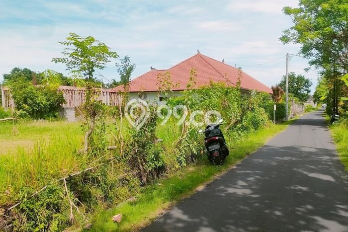 Tanah Dijual di Buleleng Seluas 1296m2 Strategis Tanah Dijual di Buleleng Seluas 1296m2 Strategis