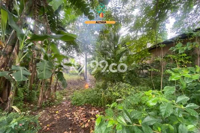 Tanah Siap Bangun Dijual di Tangerang Selatan Punya Luas 300m2 Tanah Siap Bangun Dijual di Tangerang Selatan Punya Luas 300m2