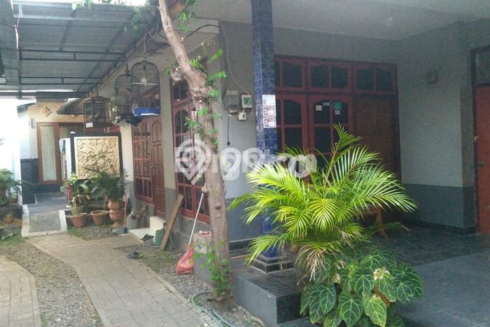 Rumah Luxury Modern Siap Huni di Dauhpuri Kangin Denpasar Rumah Luxury Modern Siap Huni di Dauhpuri Kangin Denpasar