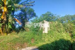 Jarang Ada! Tanah di Denpasar Barat Punya Luas 984m2 SHM Jarang Ada! Tanah di Denpasar Barat Punya Luas 984m2 SHM