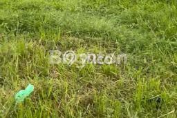 Lahan Kosong Dijual di Denpasar dengan Area 649m2 Lahan Kosong Dijual di Denpasar dengan Area 649m2