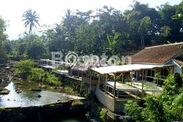 Tanah di Dramaga, Bogor Luas 2050m2 Dijual Segera Tanah di Dramaga, Bogor Luas 2050m2 Dijual Segera