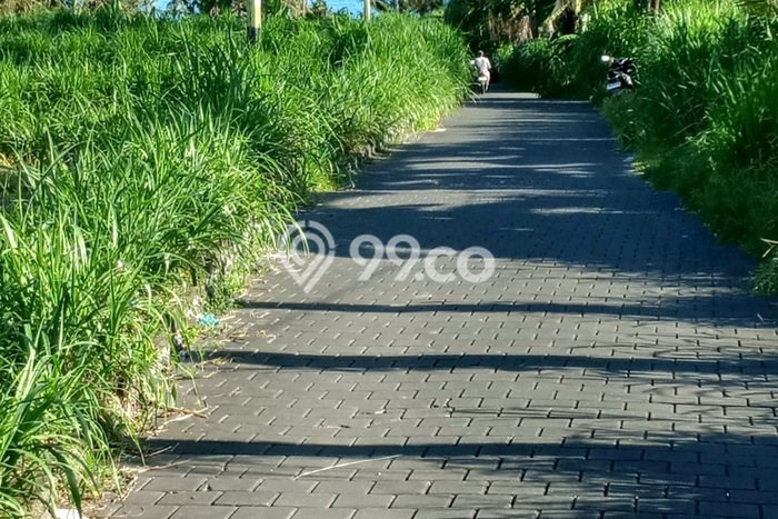 Sewa Tanah Kawasan Saba, Luas 400m², Area Potensial Sewa Tanah Kawasan Saba, Luas 400m², Area Potensial