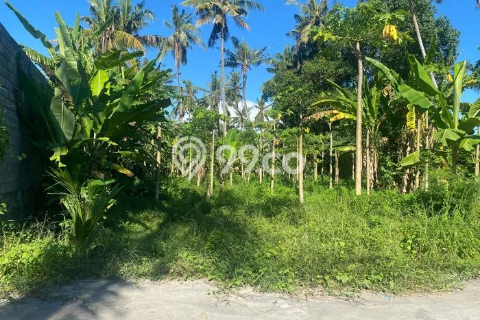Disewakan Tanah di Saba Gianyar Seluas 1200m2 Disewakan Tanah di Saba Gianyar Seluas 1200m2