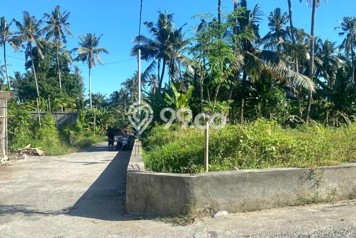 Tanah di Saba, Luas 1200m², Dekat Jalan Raya, Area Berkembang Tanah di Saba, Luas 1200m², Dekat Jalan Raya, Area Berkembang