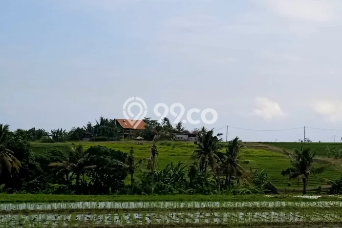 Lahan untuk Disewa di Tabanan Luas 2160m2 Lahan untuk Disewa di Tabanan Luas 2160m2