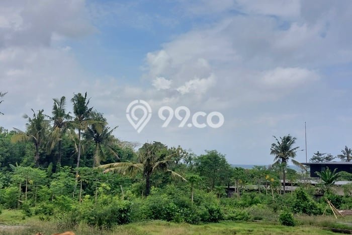 Siap Disewakan Tanah di Blahbatuh Luas 1200m2 Area Potensial Siap Disewakan Tanah di Blahbatuh Luas 1200m2 Area Potensial