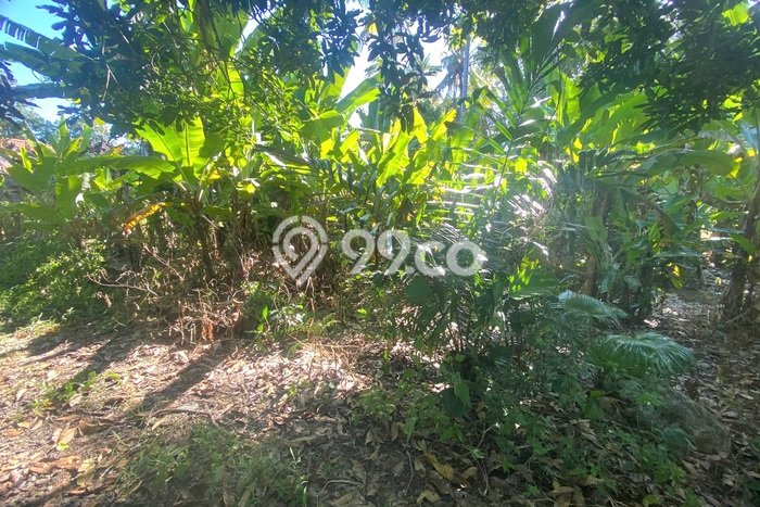 Tanah Dijual Lokasi Strategis di Gianyar dengan Luas 380m2 Tanah Dijual Lokasi Strategis di Gianyar dengan Luas 380m2