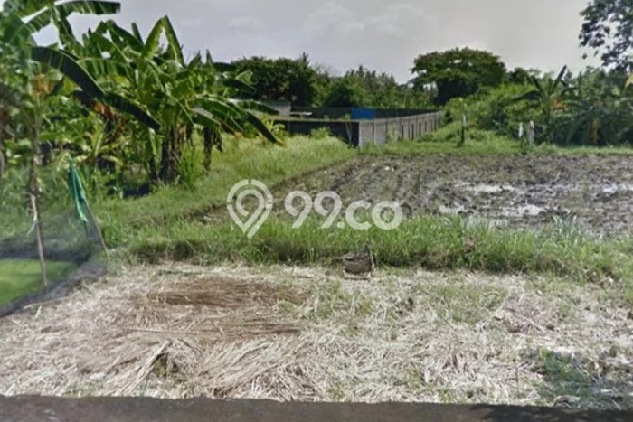 Lahan Dijual Lokasi Strategis di Gianyar dengan Luas 2000m2 Lahan Dijual Lokasi Strategis di Gianyar dengan Luas 2000m2