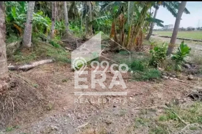 Dijual Tanah Lokasi Kulonprogo, Kulon Progo Seluas 2015m2 Dijual Tanah Lokasi Kulonprogo, Kulon Progo Seluas 2015m2