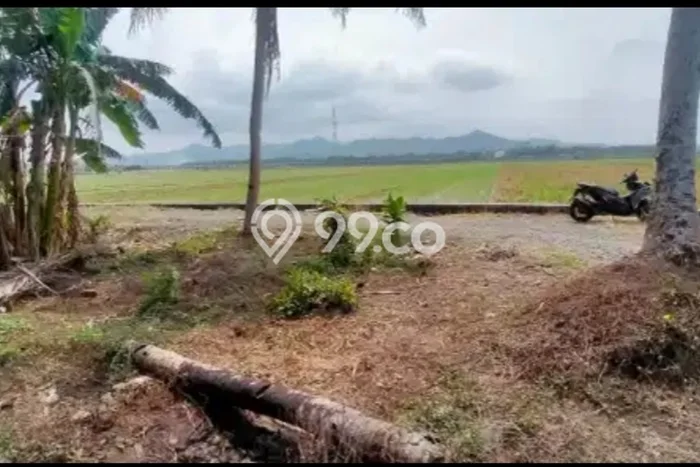 Dijual Tanah Lokasi Kulonprogo, Kulon Progo Seluas 2015m2 Dijual Tanah Lokasi Kulonprogo, Kulon Progo Seluas 2015m2