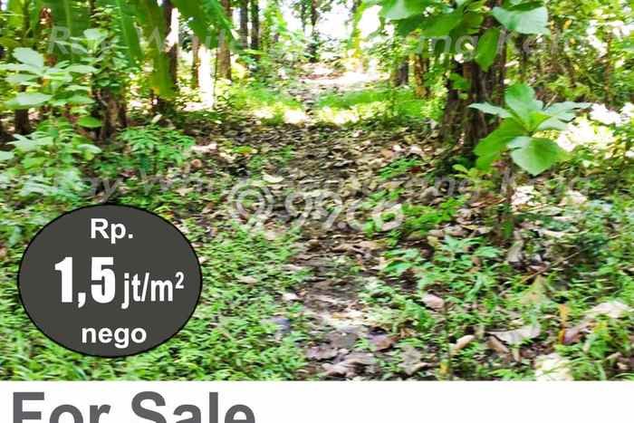 Tanah Strategis Dijual di Patebon Kendal 3750m2 Tanah Strategis Dijual di Patebon Kendal 3750m2