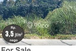 Tanah Kosong Dijual di Semarang dengan Area 2046m2 Tanah Kosong Dijual di Semarang dengan Area 2046m2