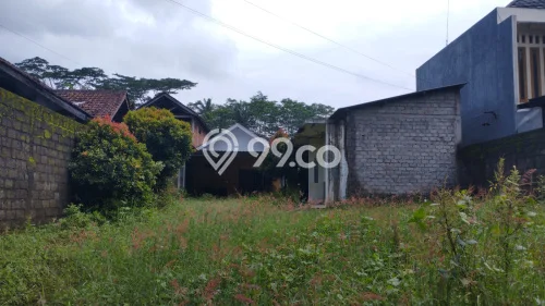 Jarang Ada! Tanah di Banyuputih Punya Luas 281m2 SHM Jarang Ada! Tanah di Banyuputih Punya Luas 281m2 SHM