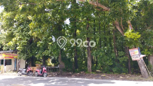 Tanah Strategis Dijual di Patebon Kendal 3750m2 Tanah Strategis Dijual di Patebon Kendal 3750m2