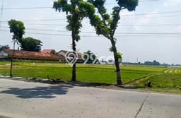 Tanah Dijual Lokasi Pati, Pati dengan Luas Tanah 20000m2 dan Status SHM Tanah Dijual Lokasi Pati, Pati dengan Luas Tanah 20000m2 dan Status SHM