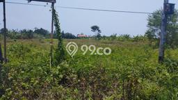 Tanah di Kaliwungu, Kendal Luas 15800m2 Dijual Segera Tanah di Kaliwungu, Kendal Luas 15800m2 Dijual Segera