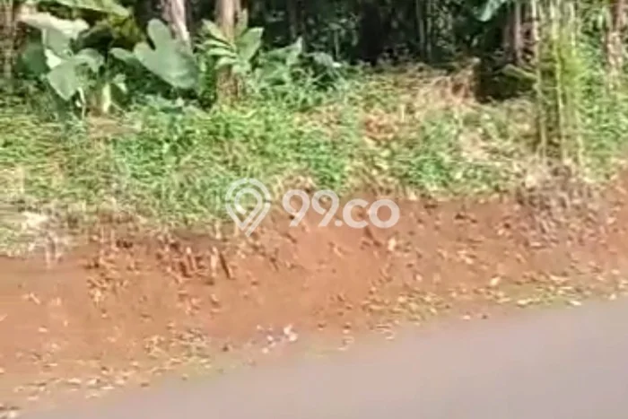 Tanah untuk Dijual Lokasi Cigudeg, Bogor Luas 12600m2 SHM Tanah untuk Dijual Lokasi Cigudeg, Bogor Luas 12600m2 SHM